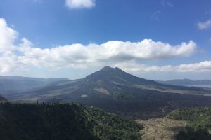 Bali Trip Host Tour - Article title