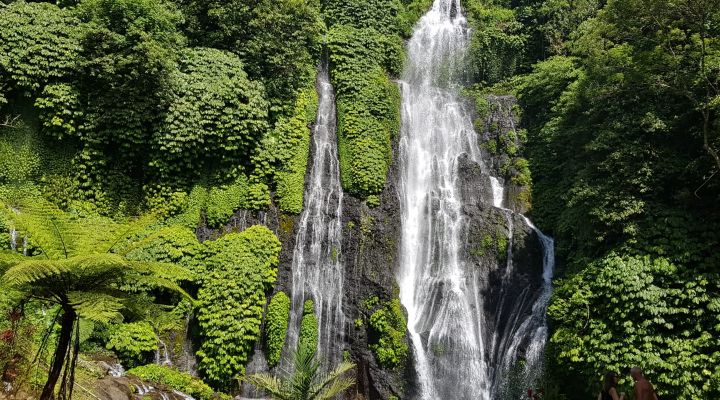 Bali Trip Host Tour - The Amazing Of The North Bali